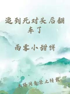 追到死对头后翻车了