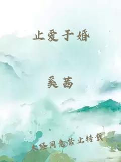 止爱于婚