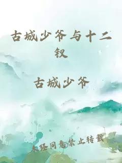 古城少爷与十二钗