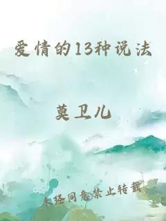 爱情的13种说法