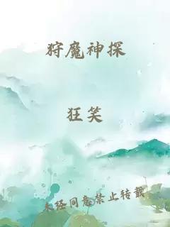 狩魔神探