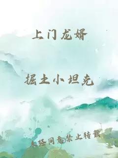 上门龙婿
