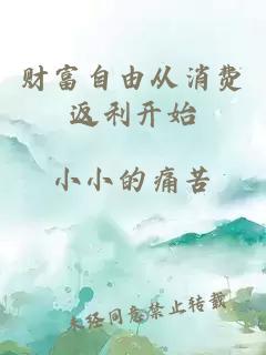 财富自由从消费返利开始