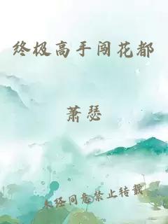 终极高手闯花都