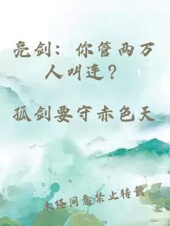 亮剑：你管两万人叫连？