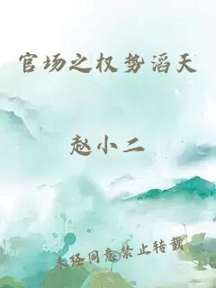 官场之权势滔天