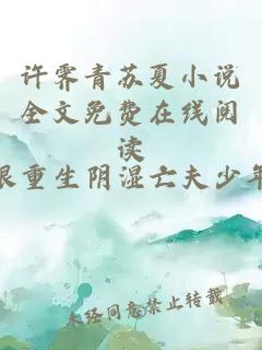 许霁青苏夏小说全文免费在线阅读