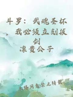 斗罗：武魂圣杯，我必须立刻拔剑