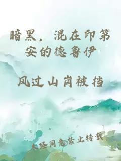 暗黑，混在印第安的德鲁伊