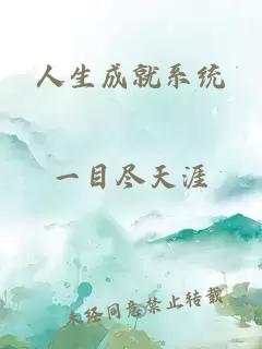 人生成就系统
