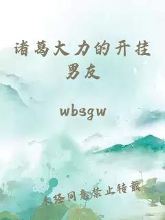 诸葛大力的开挂男友