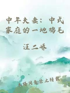 中年夫妻：中式家庭的一地鸡毛