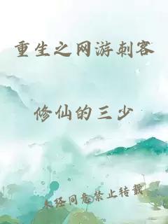 重生之网游刺客
