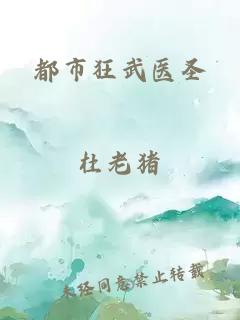 都市狂武医圣