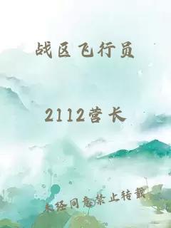 战区飞行员