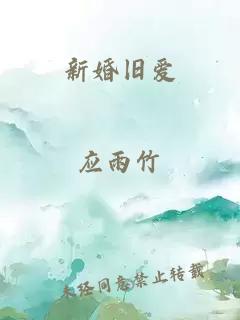 新婚旧爱