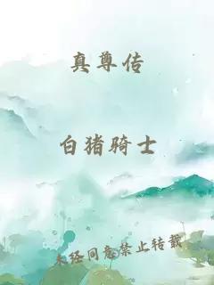 真尊传