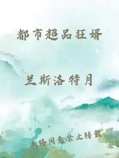 都市超品狂婿