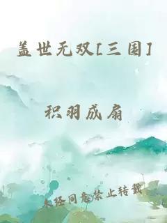 盖世无双[三国]