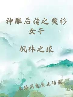 神雕后传之黄衫女子