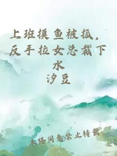 上班摸鱼被抓，反手拉女总裁下水