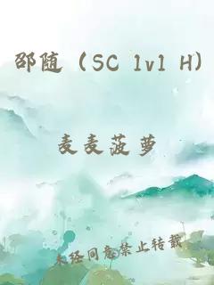 邵随(SC 1v1 H)