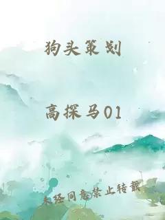 狗头策划