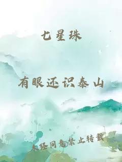七星珠