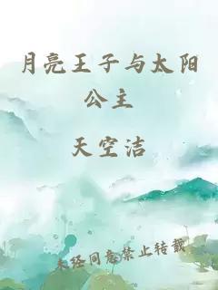 月亮王子与太阳公主