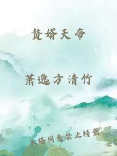 赘婿天帝