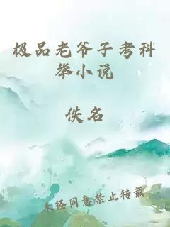 极品老爷子考科举小说