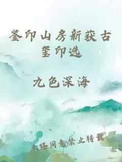 鉴印山房新获古玺印选