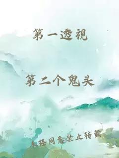 第一透视