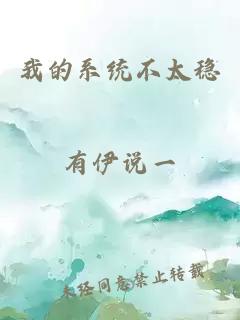 我的系统不太稳小说封面 我的系统不太稳