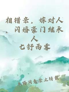 相错亲,嫁对人,闪婚豪门继承人小说封面 相错亲,嫁对人,闪婚豪门继承人