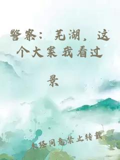 警察：芜湖，这个大案我看过