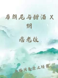 布朗尼与甜酒 X纲
