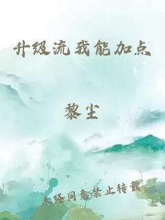 升级流我能加点